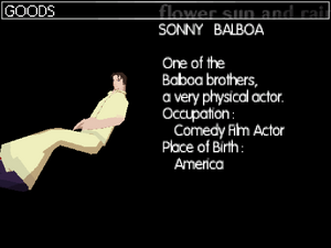 Sonny's profile in the DS version