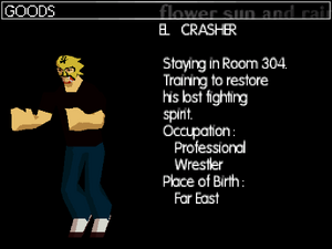 Crasher's profile in the DS version