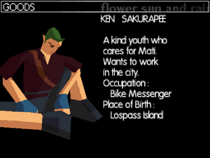 Ken's profile in the DS version