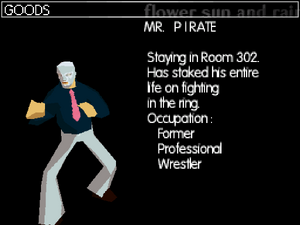 Mr. Pirate's profile in the DS version