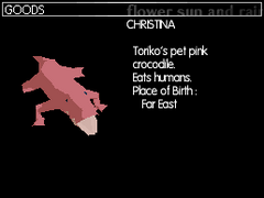 Christina's profile in the DS version