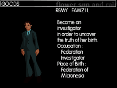 Remy's profile in the DS version