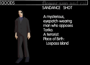 Sundance's profile in the DS version