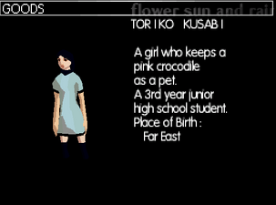 Toriko's profile in the DS version