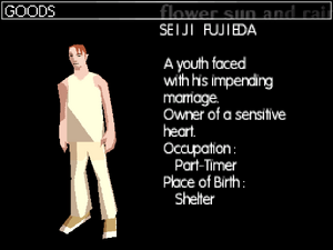 Seiji's profile in the DS version