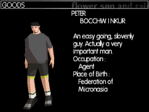 Peter's profile in the DS version