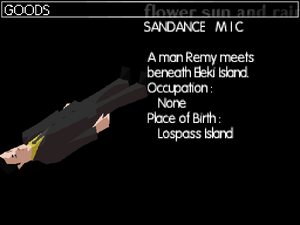 MIC's profile in the DS version